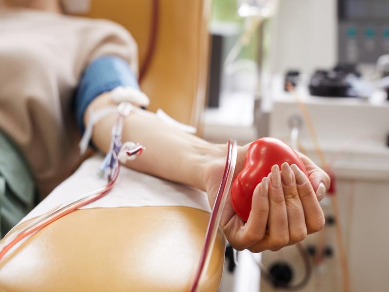 Yearly Blood Donation Camp