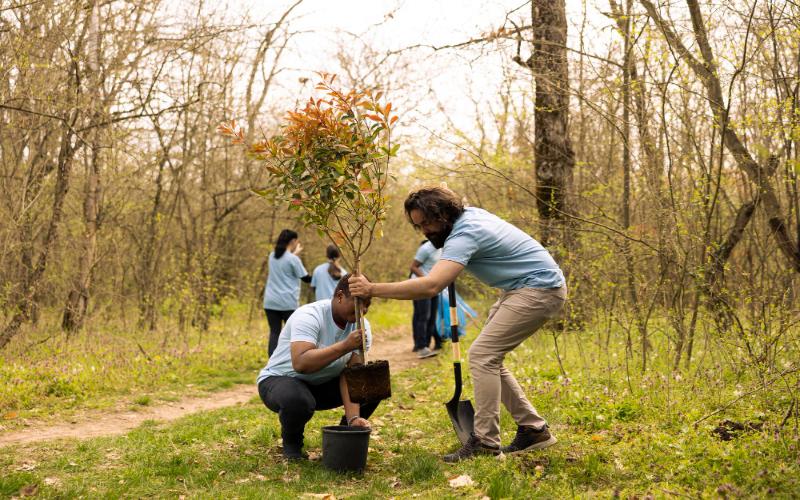 Social Service Activities